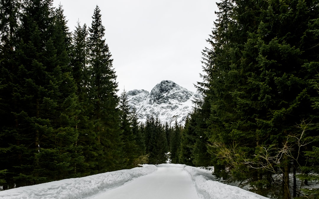 Mountain range photo spot Morskie Oko Białka Tatrzańska