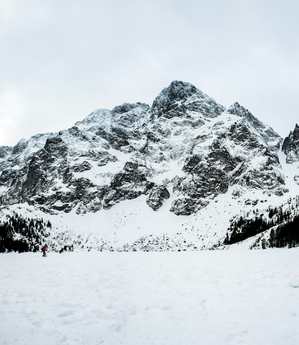 snow covered mountain during daytime