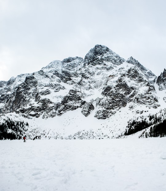 snow covered mountain during daytime in Dolina Białej Wody Poland