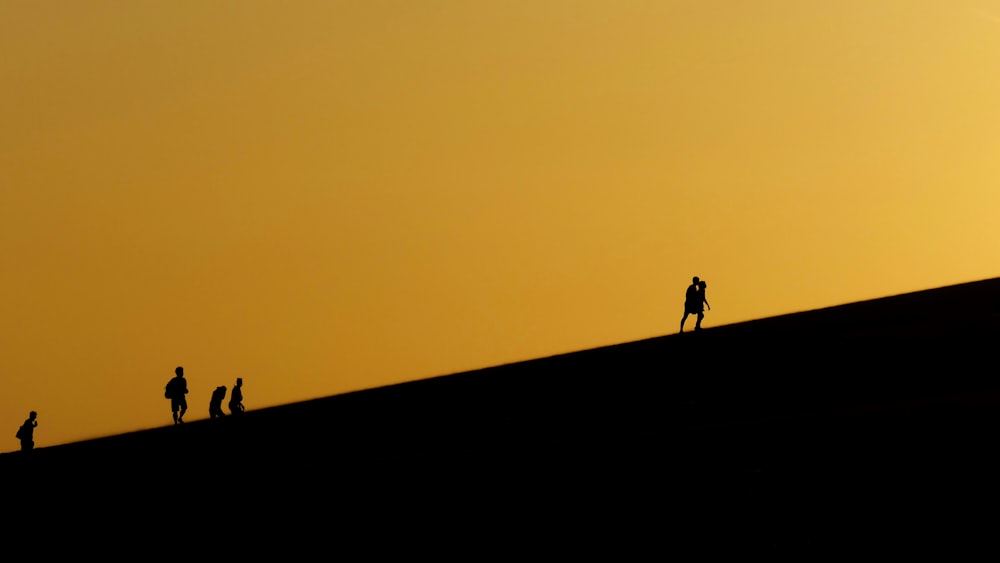 silhouette of 2 people standing on top of building during sunset