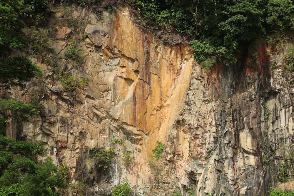 brown rocky mountain with green trees during daytime