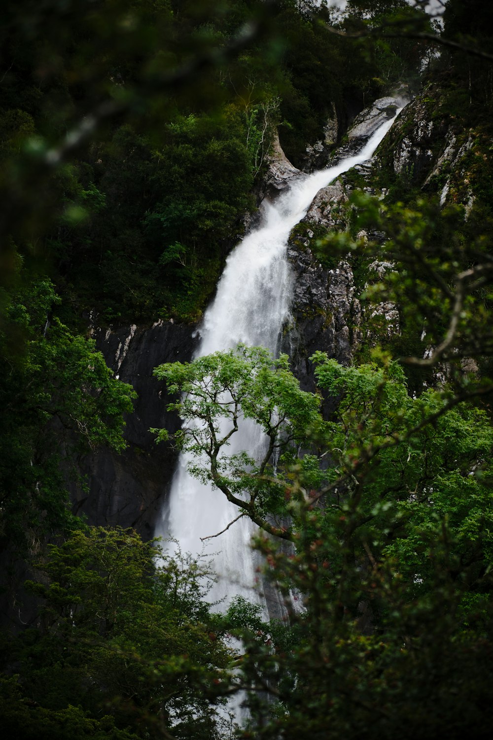 waterfalls in the middle of the forest