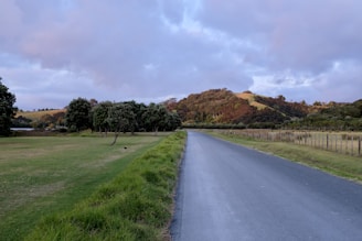 A quiet country road leading to a large open field.