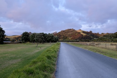 A quiet country road leading to a large open field.