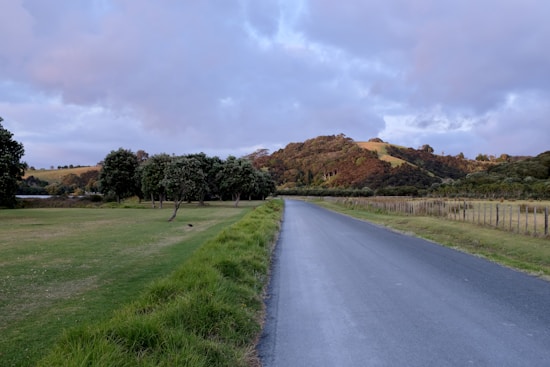 A quiet rural road stretches alongside open fields and a line of trees, leading towards gently rolling hills in the distance. The sky is partly cloudy, casting soft shadows on the landscape. The scene is serene and undisturbed, with a bird visible in the grassy area beside the road.
