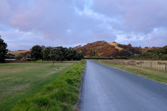 gray asphalt road between green grass field under cloudy sky during daytime in Tawharanui Peninsula New Zealand