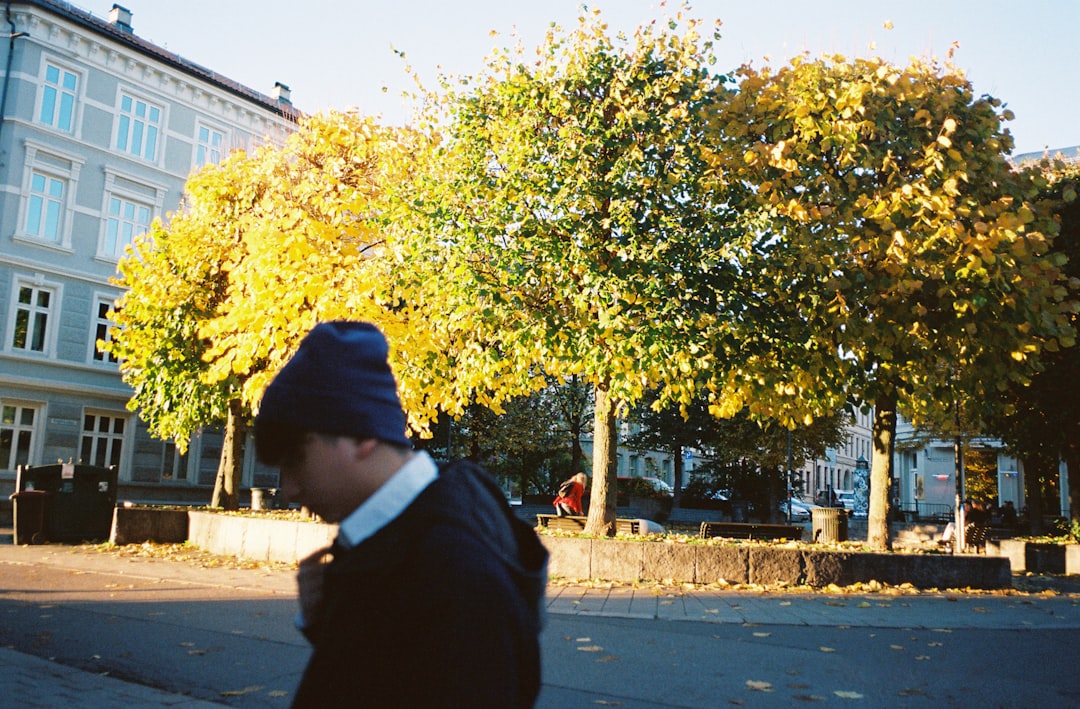 man in black hoodie standing near yellow leaf tree during daytime