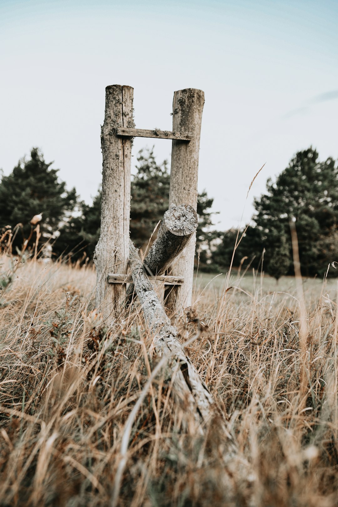 brown wooden fence on brown grass field during daytime