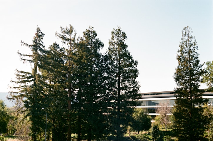 Sonoma State University
