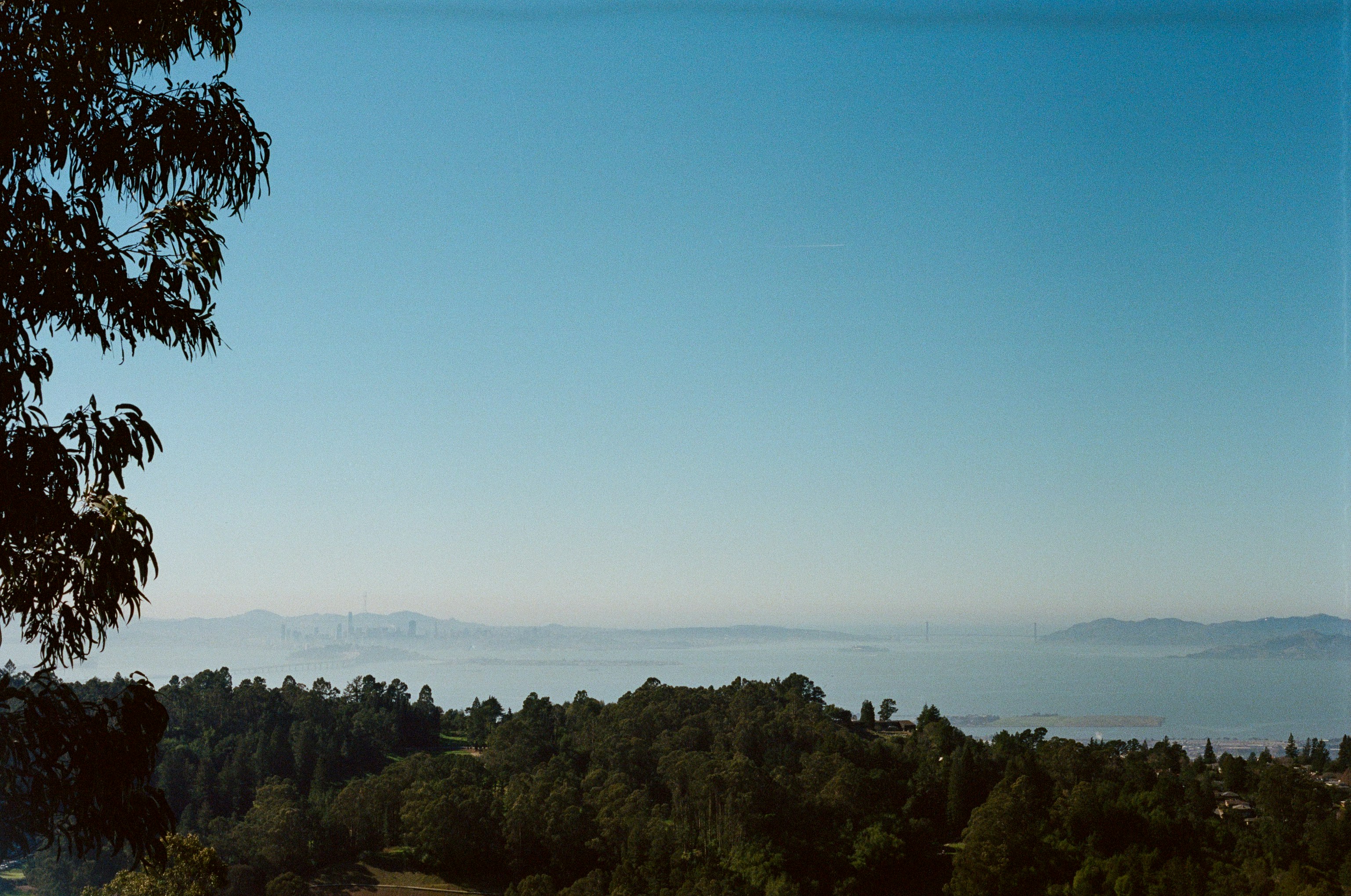 Photo by maxostwalt