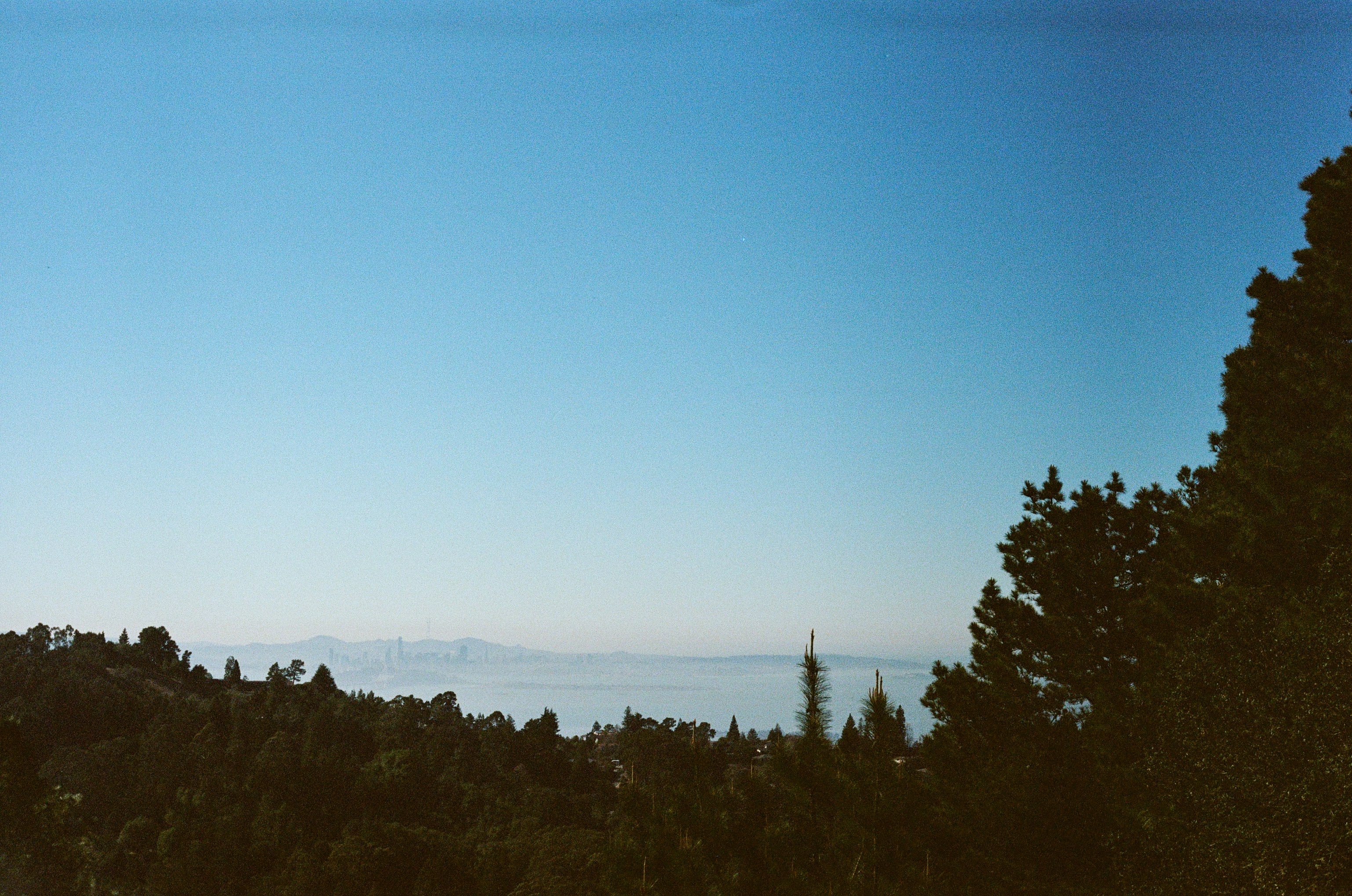 Photo by maxostwalt