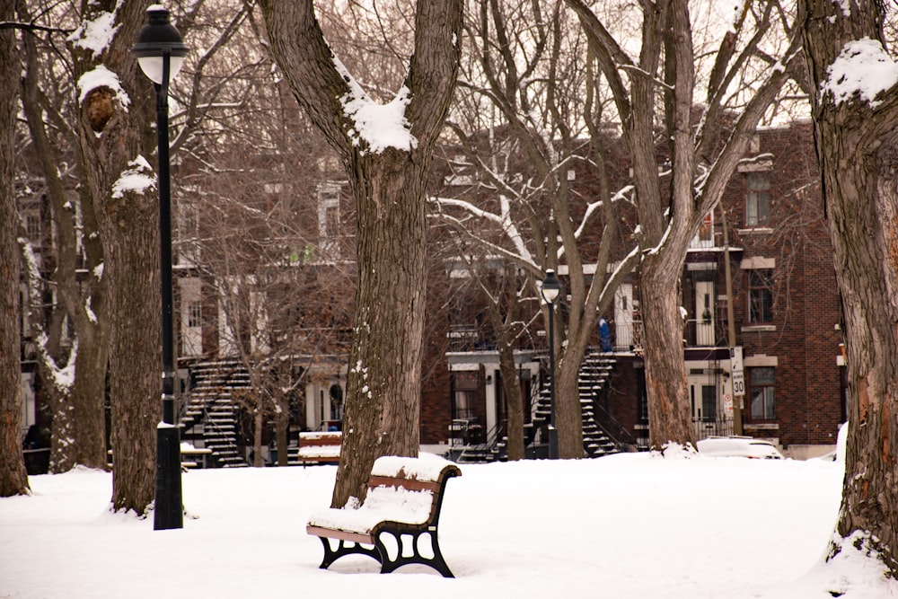 brown wooden bench covered with snow near bare trees during daytime