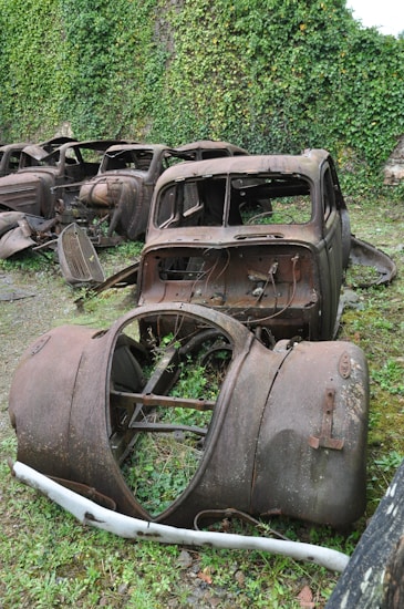 A collection of rusty, abandoned car bodies is situated in an overgrown area with lush green ivy covering the background walls. The cars are in severe decay, with missing parts and visible rust, blending into the natural surroundings.