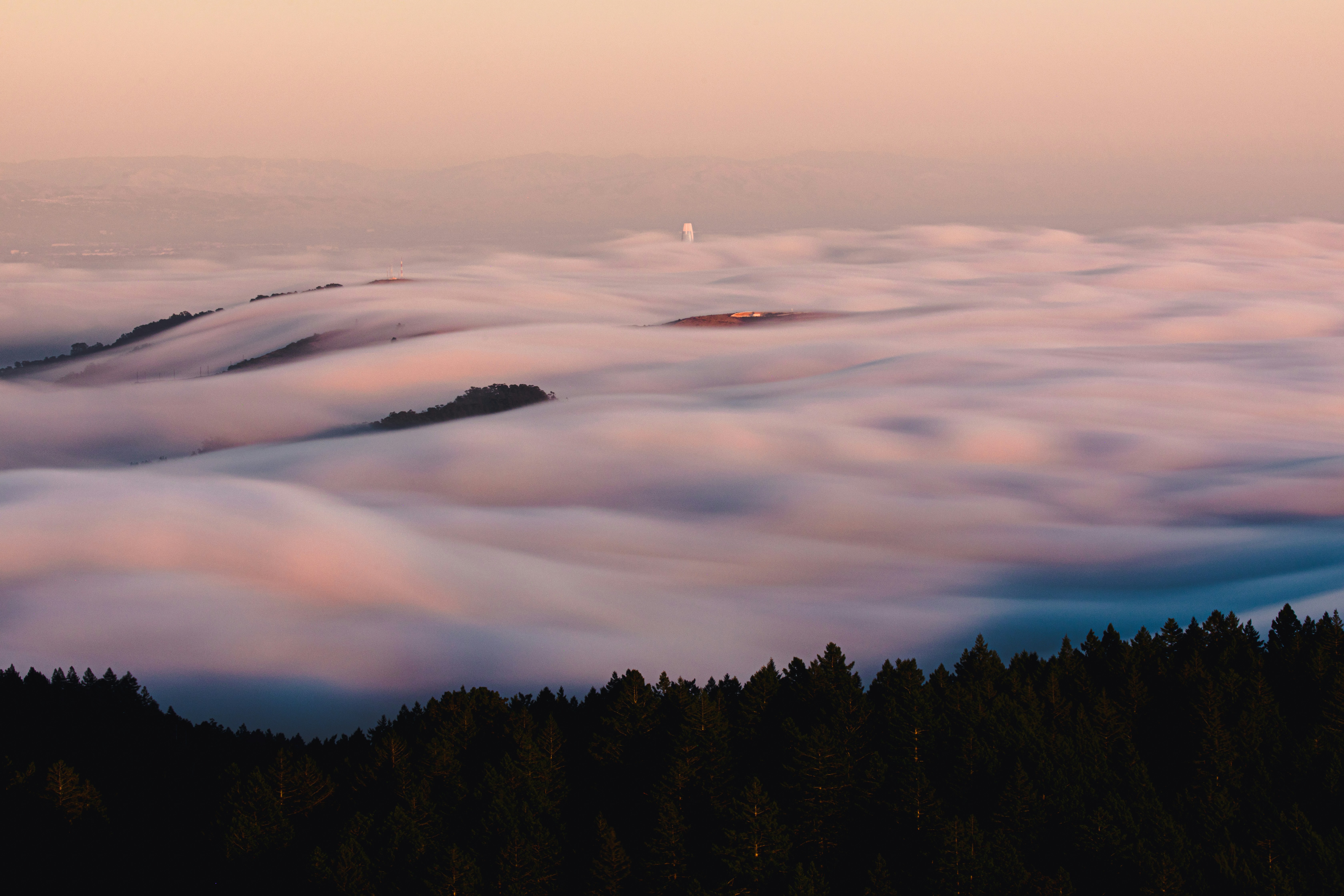 Photo by parachutel_