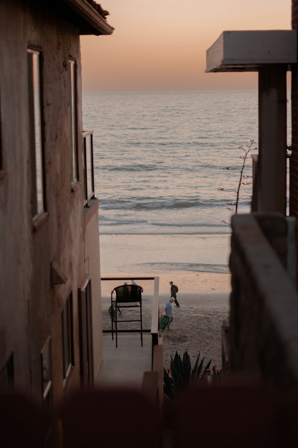 people on beach during daytime