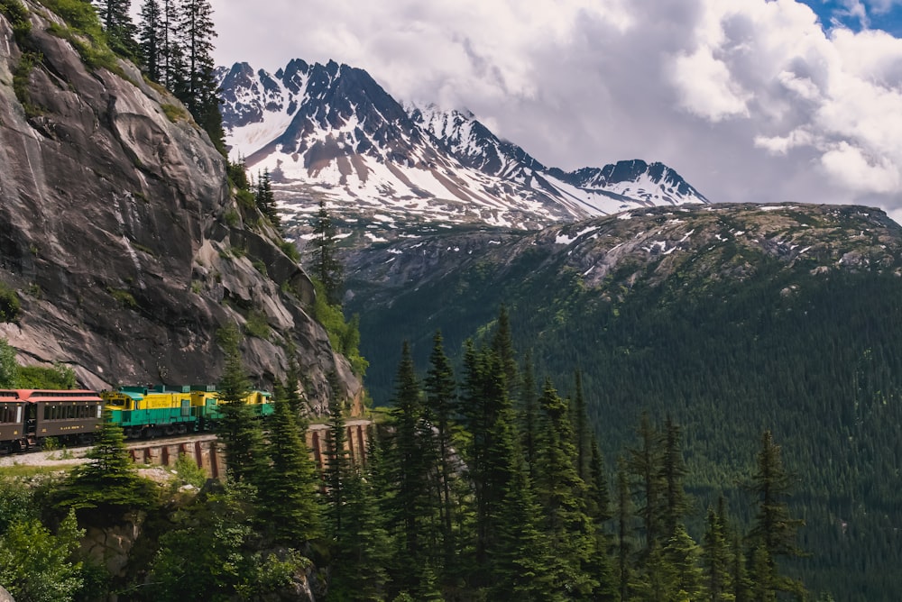 green pine trees near snow covered mountain during daytime