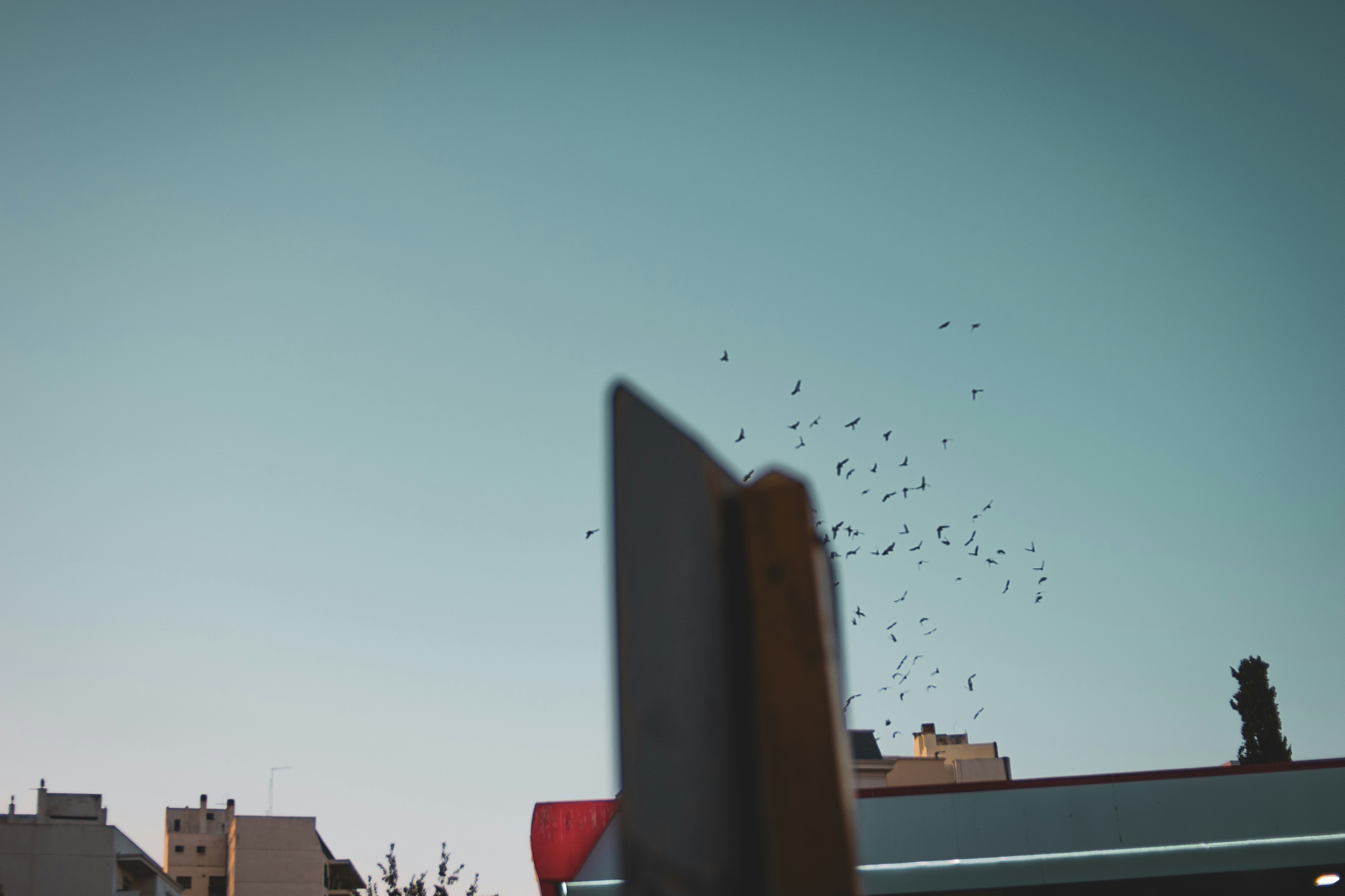 Photo by agustinfernandez