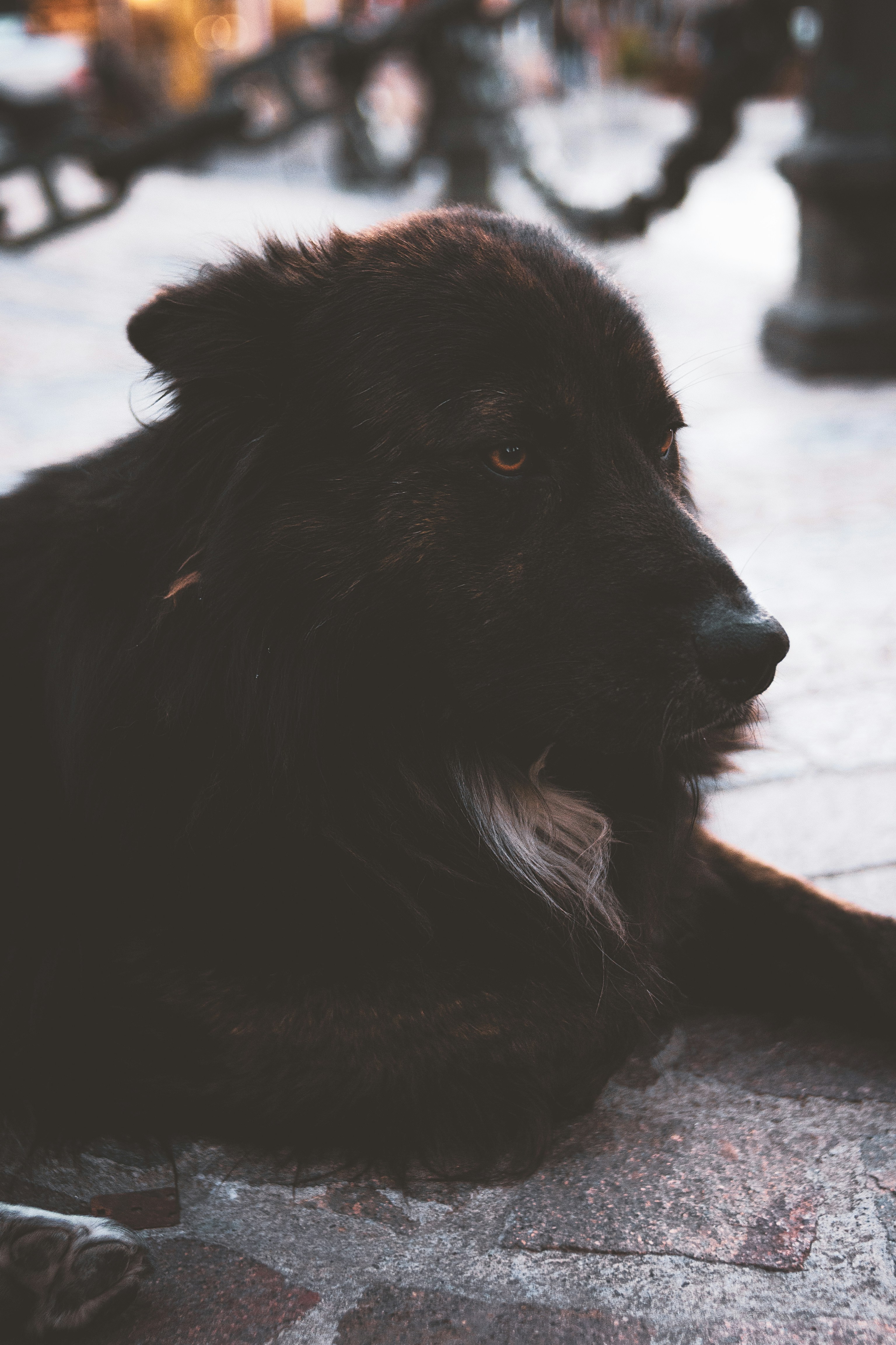 Photo by agustinfernandez