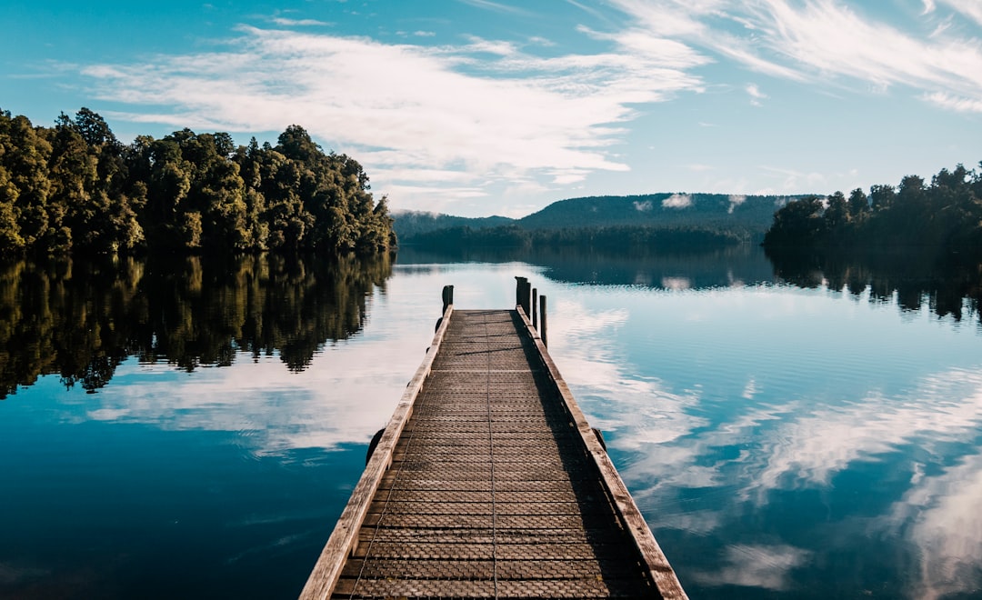 brown wooden dock on lake during daytime