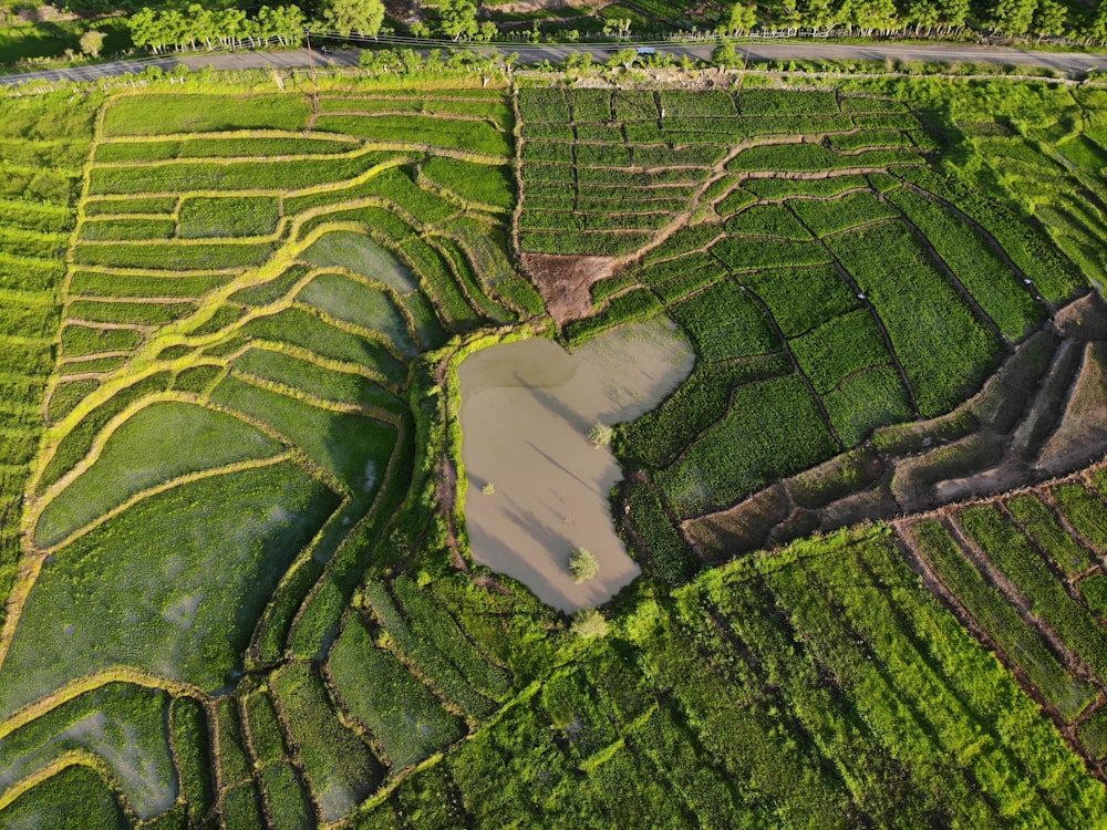 aerial view of green grass field during daytime