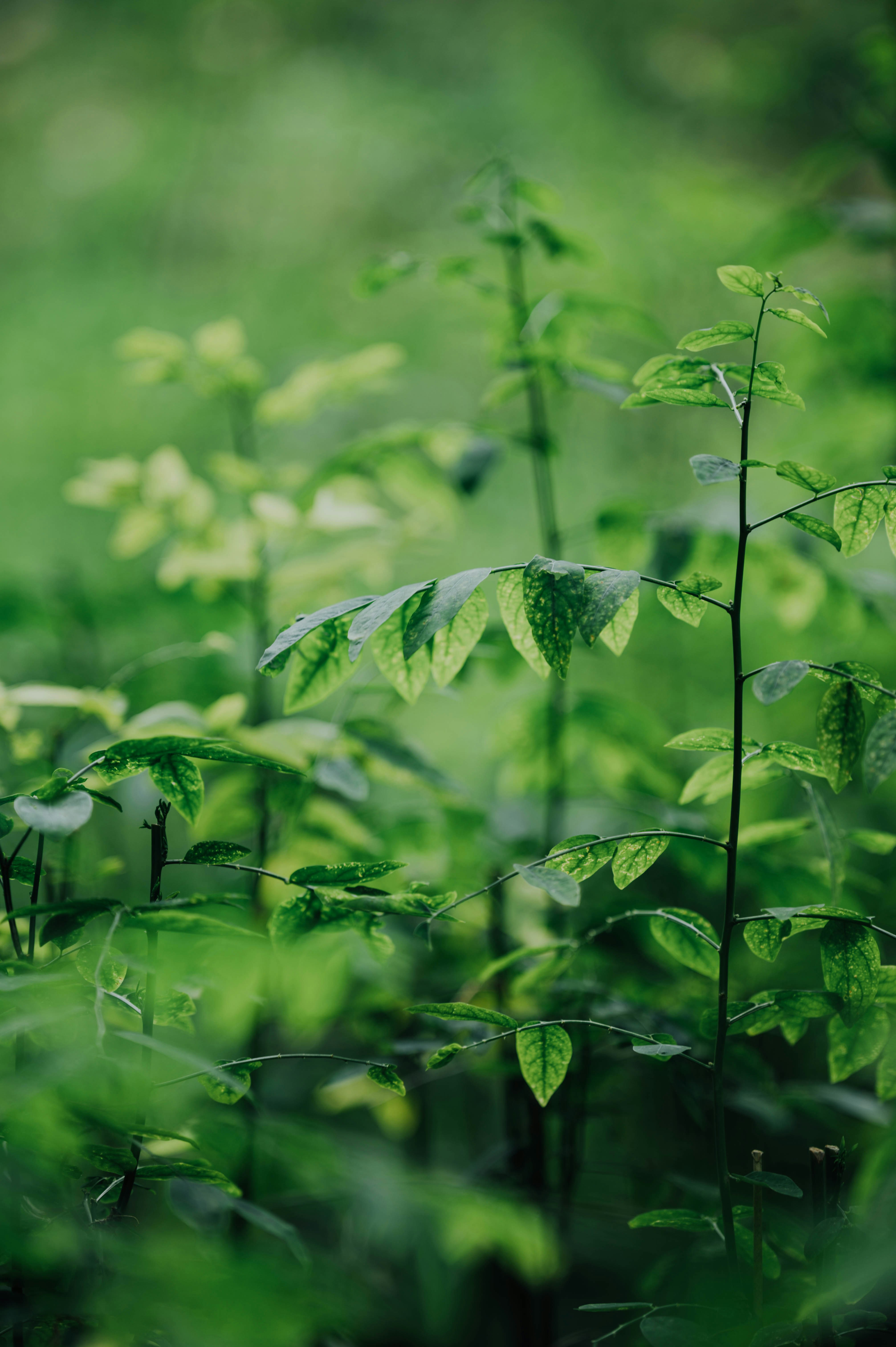 Photo by chuttersnap