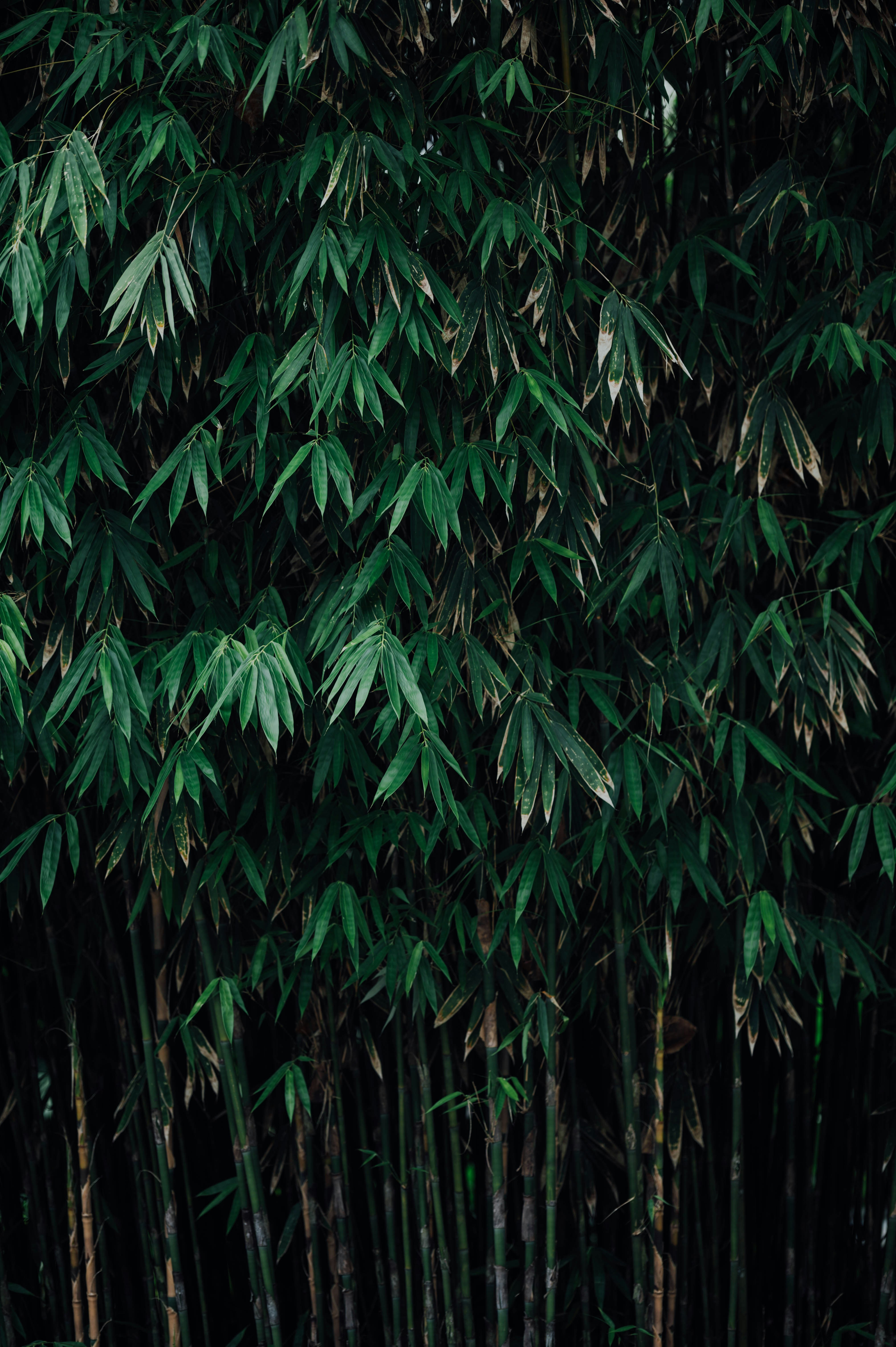 Photo by chuttersnap