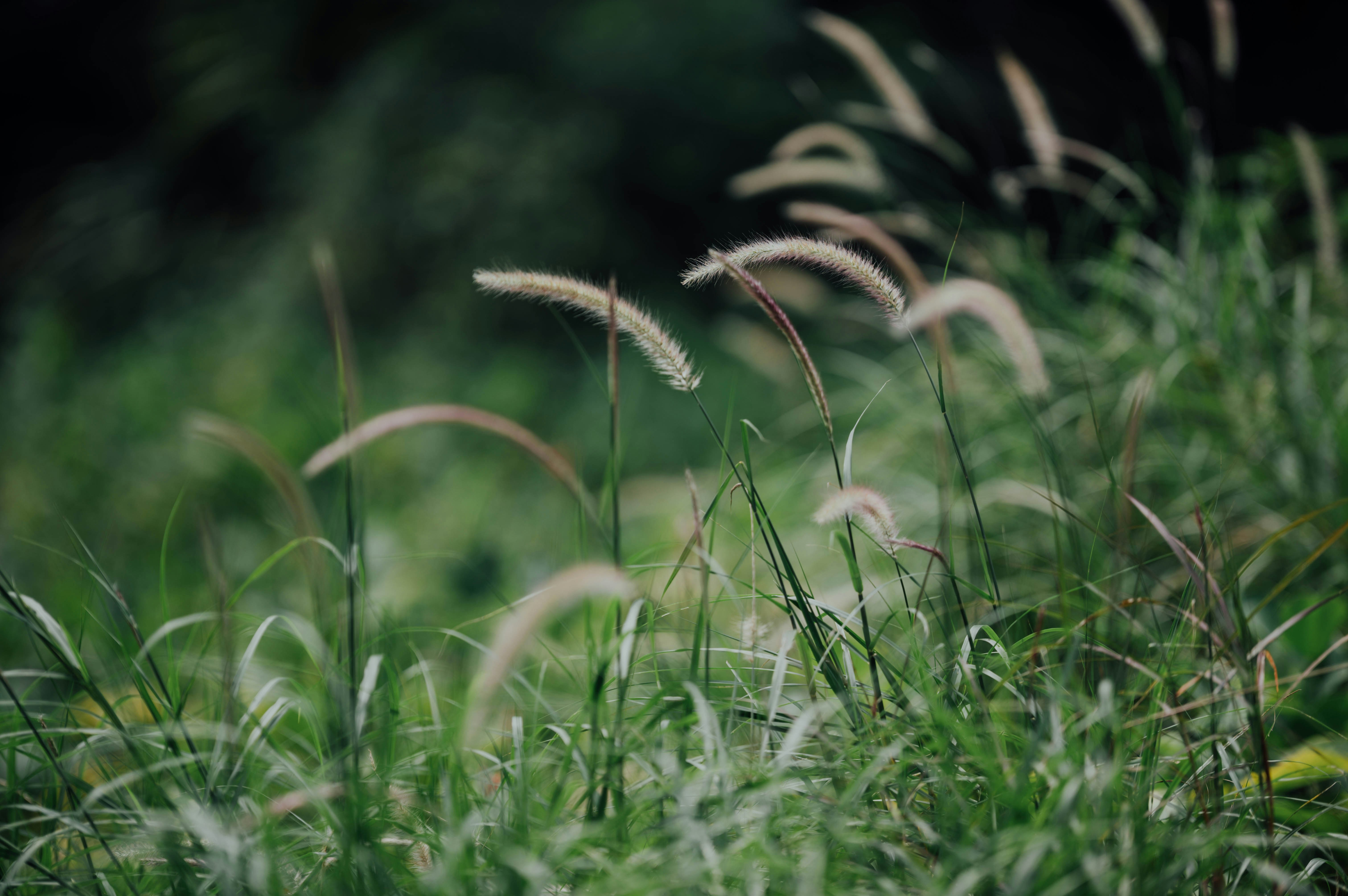 Photo by chuttersnap