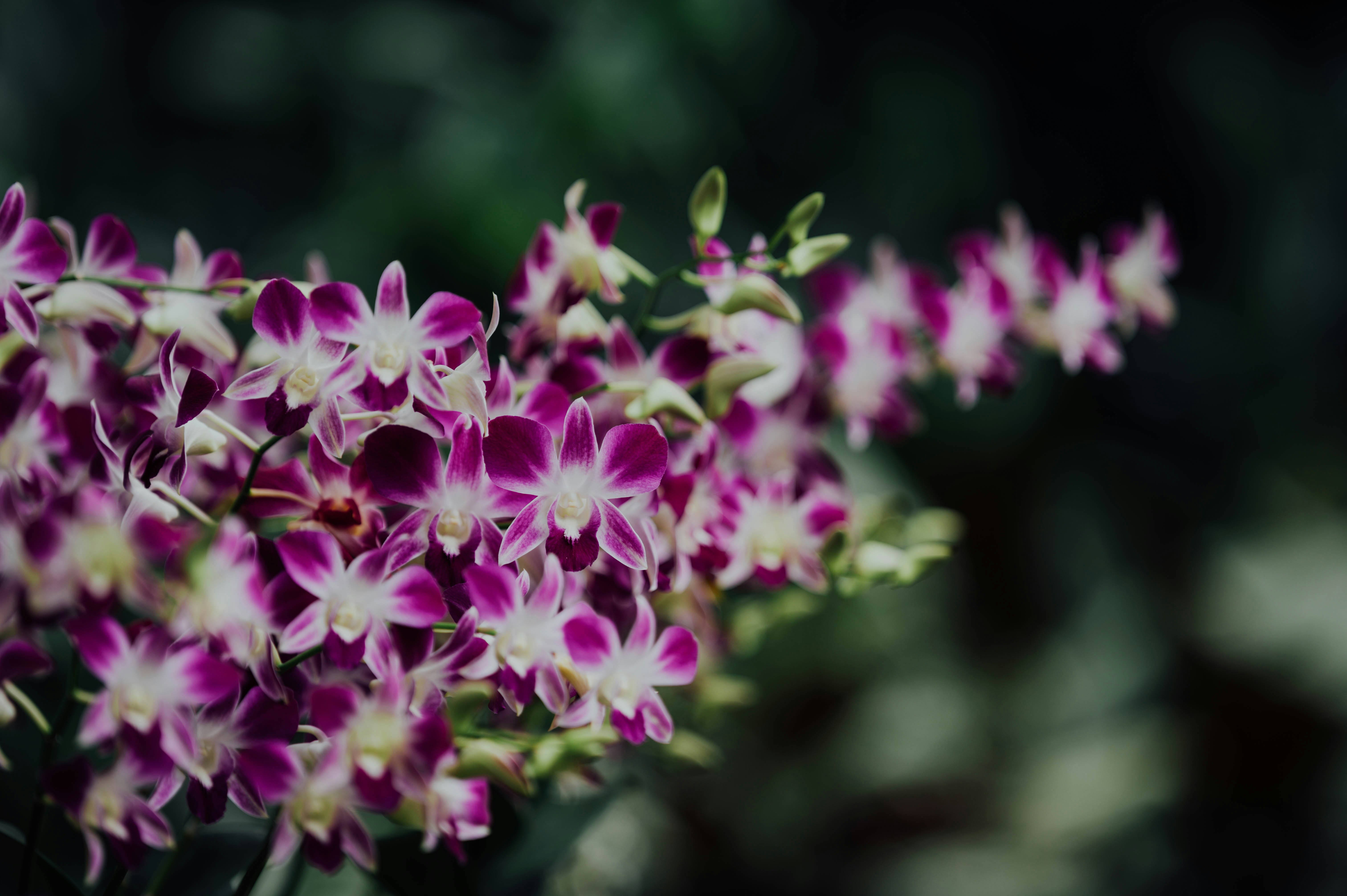 Photo by chuttersnap