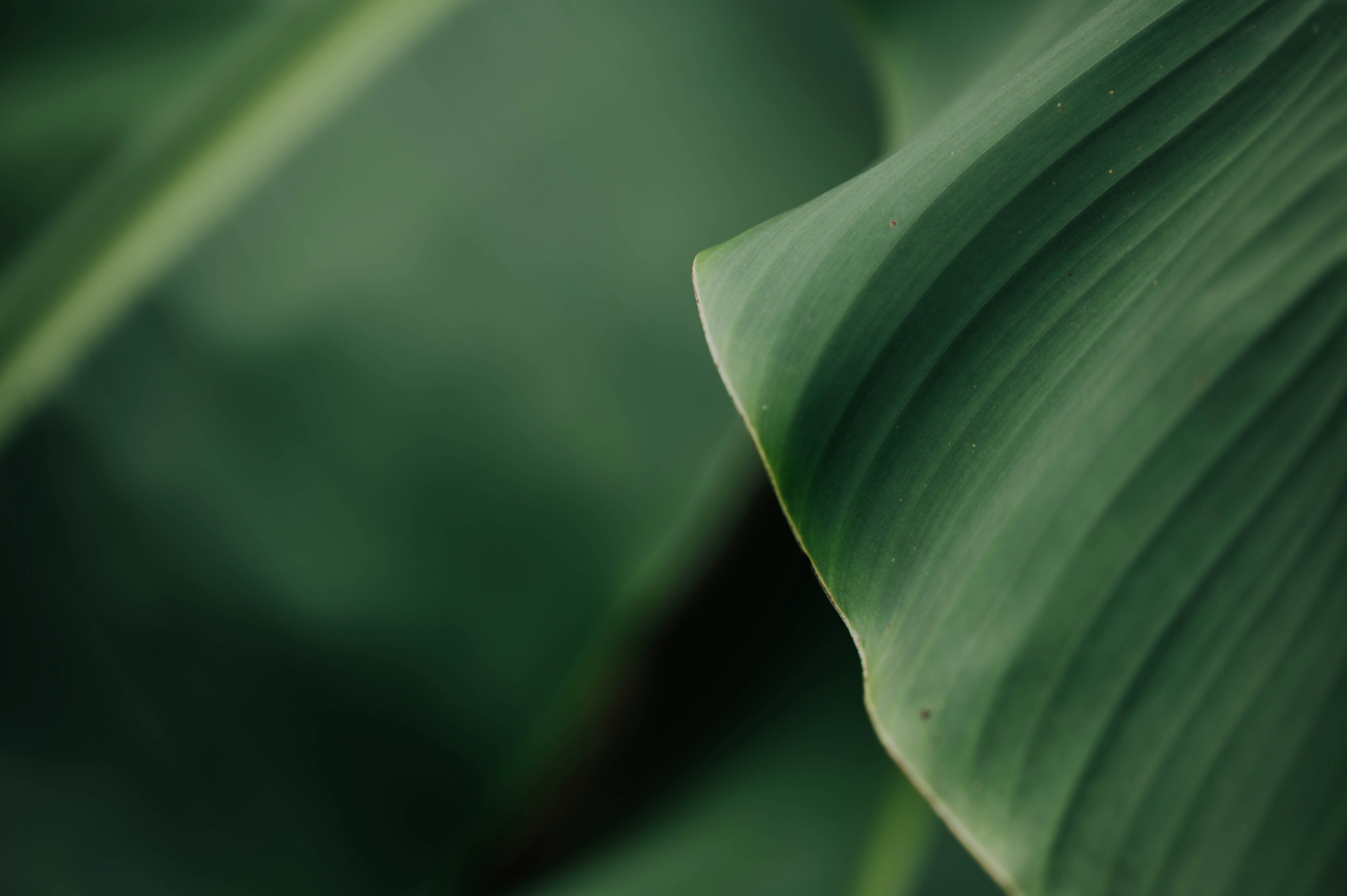 Photo by chuttersnap