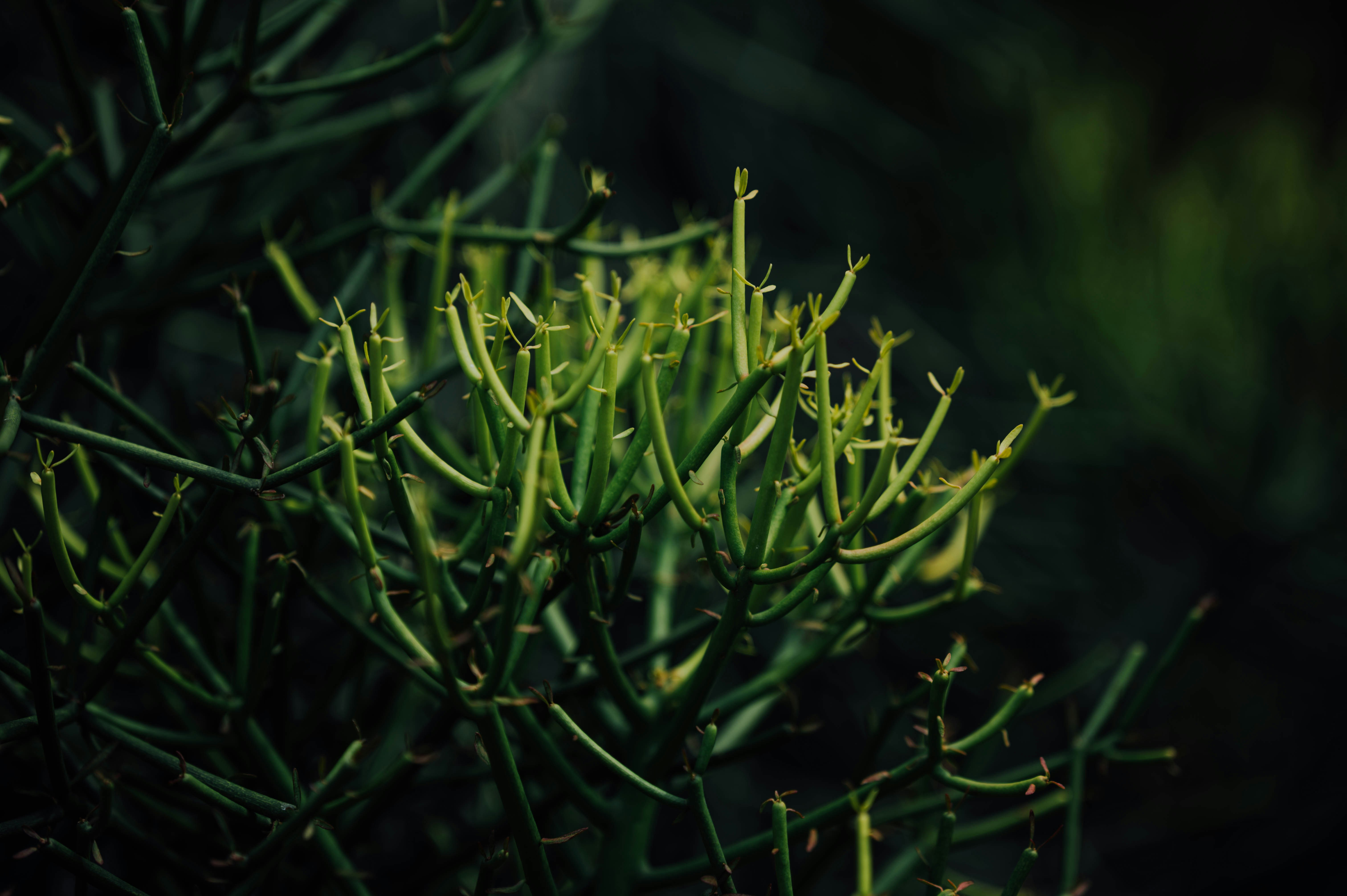 Photo by chuttersnap