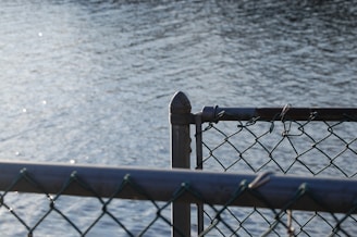 Close-up of protective fencing with galvanized coating reflecting sunlight.