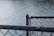 A close-up view of a chain-link fence with a metal post, overlooking a body of water that reflects sunlight.