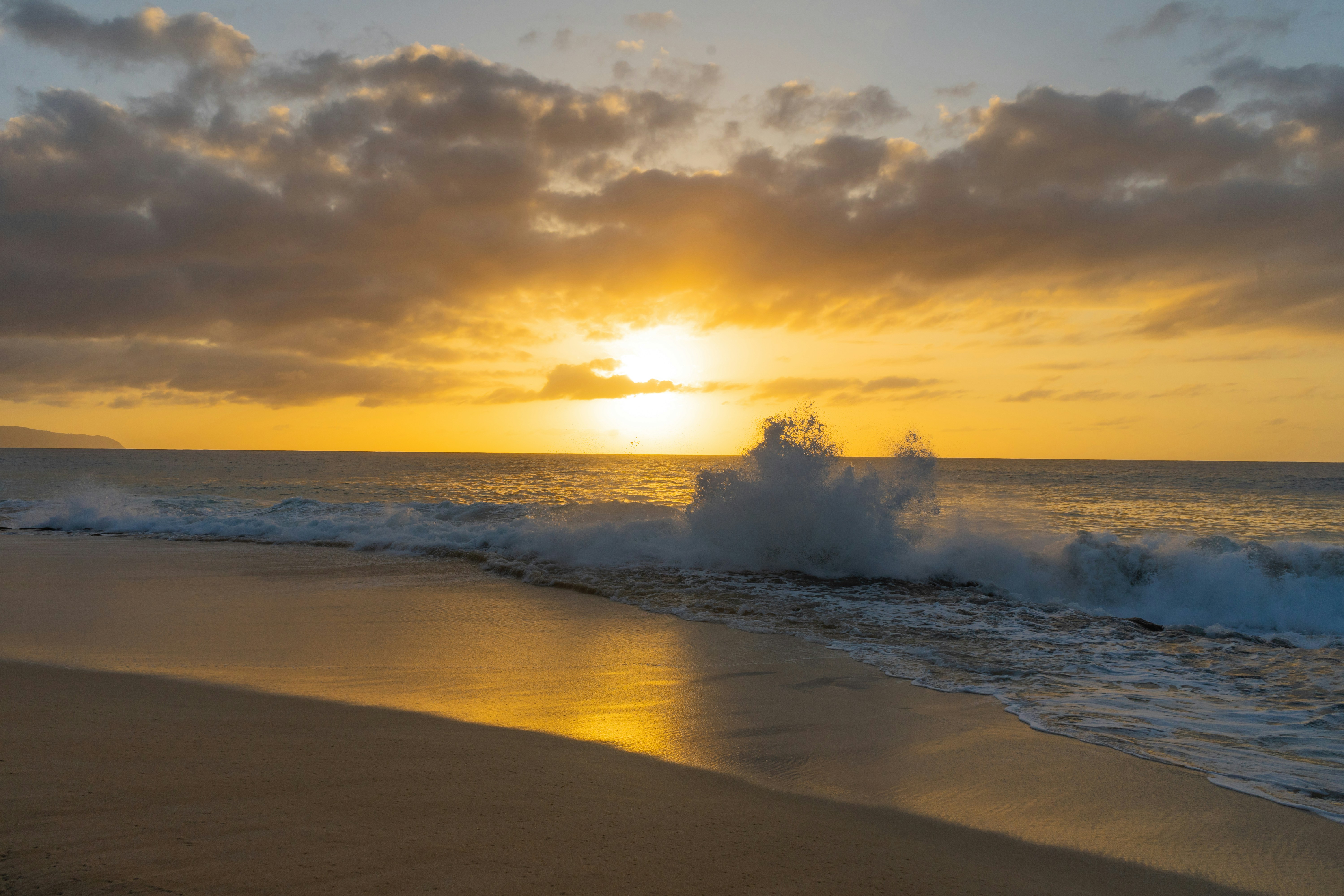 Photo by aceofhearts44