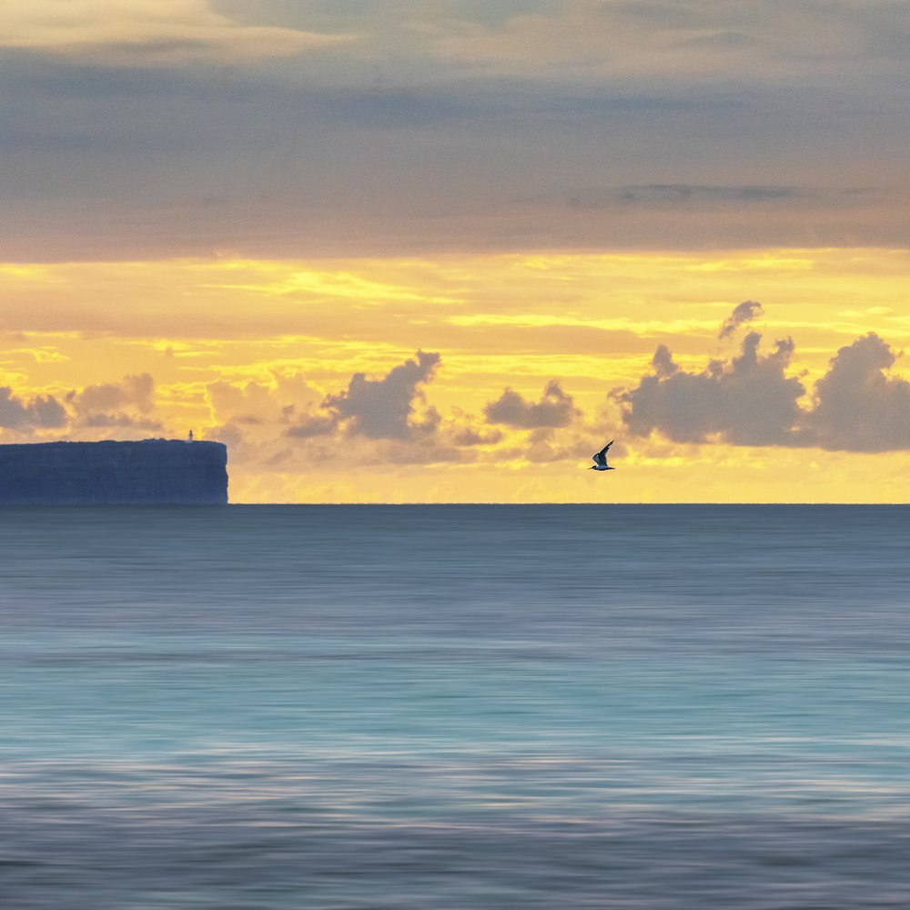 silhouette of birds flying over the sea during sunset