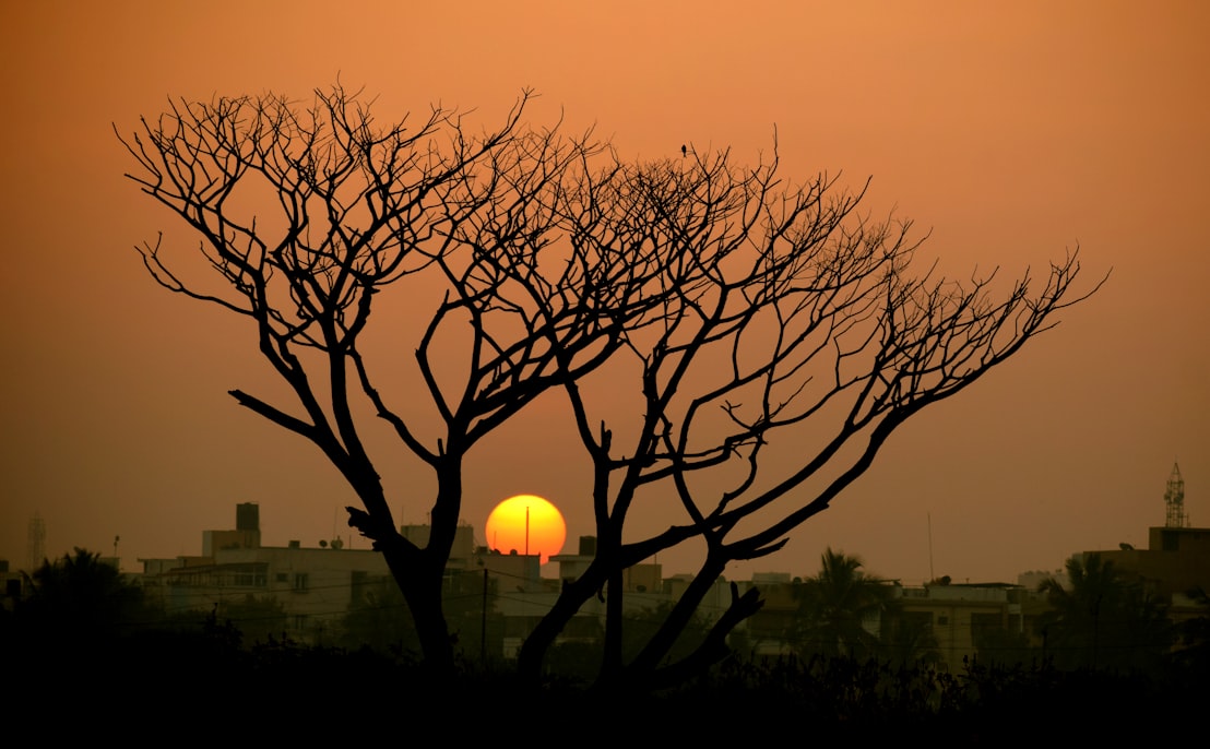 Sunset in Bangalore 