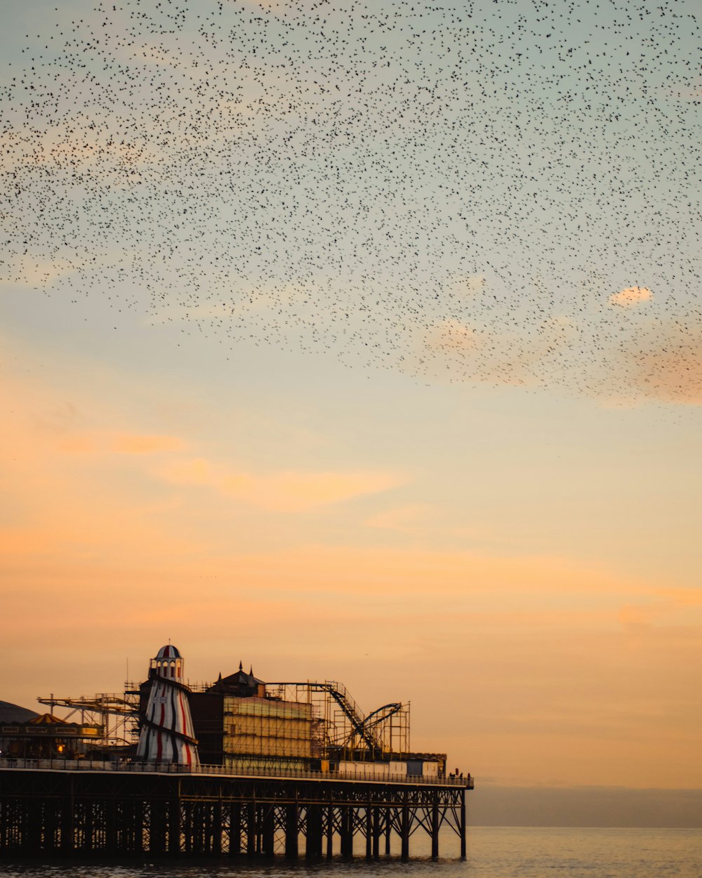 Silhouette von Menschen am Strand während des Sonnenuntergangs