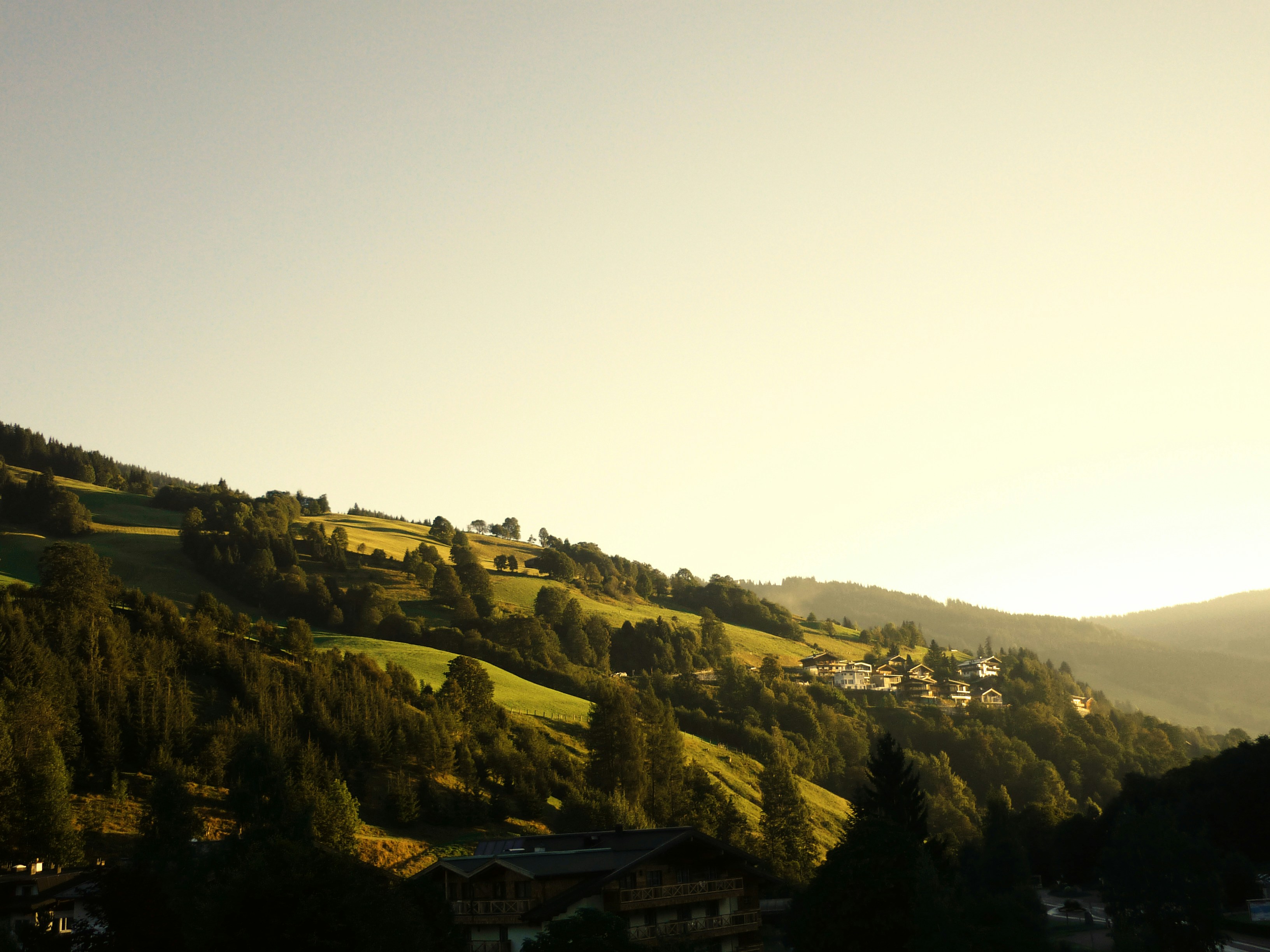 Photo by modernphoto