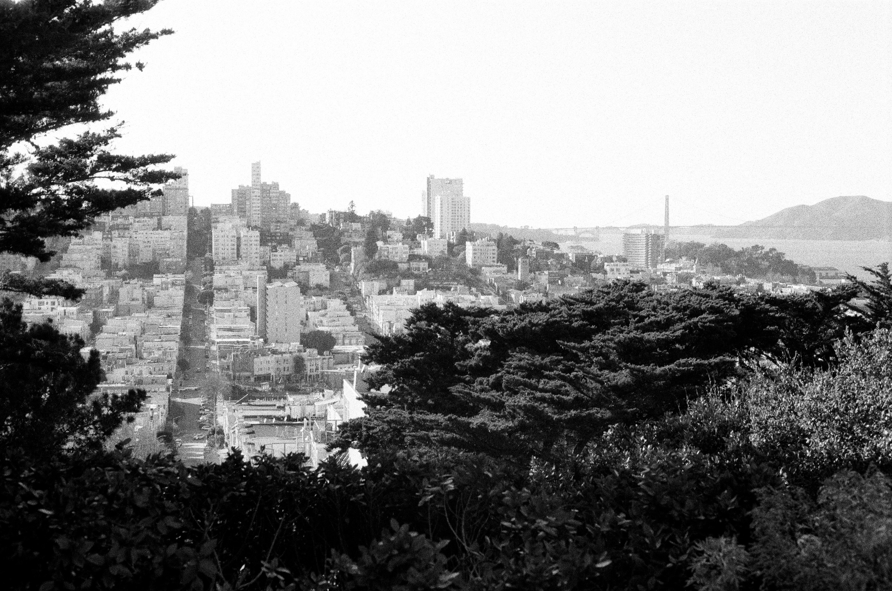 Image by Max Ostwalt via Unsplash