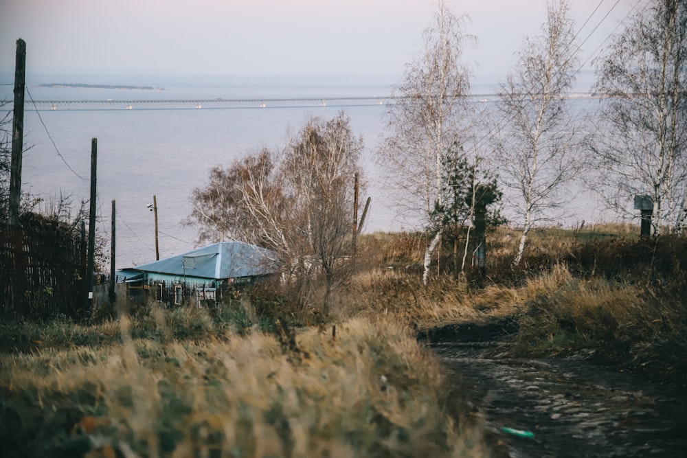 green and white wooden house near body of water during daytime