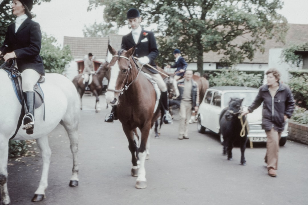 people riding horses on road during daytime