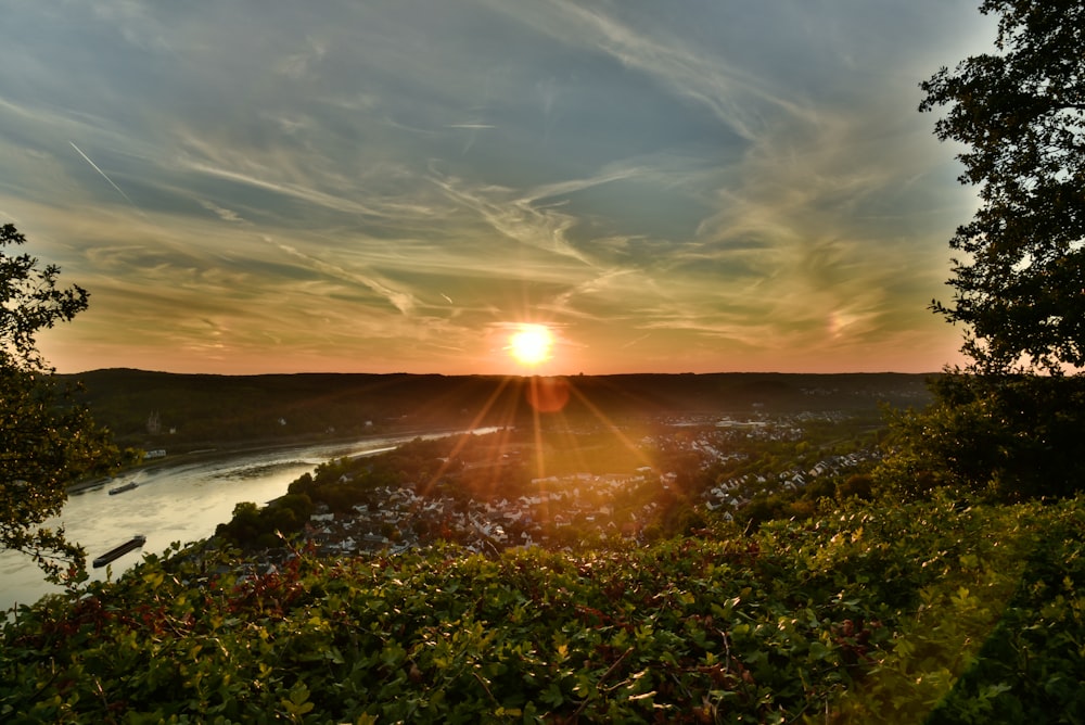 green grass near body of water during sunset