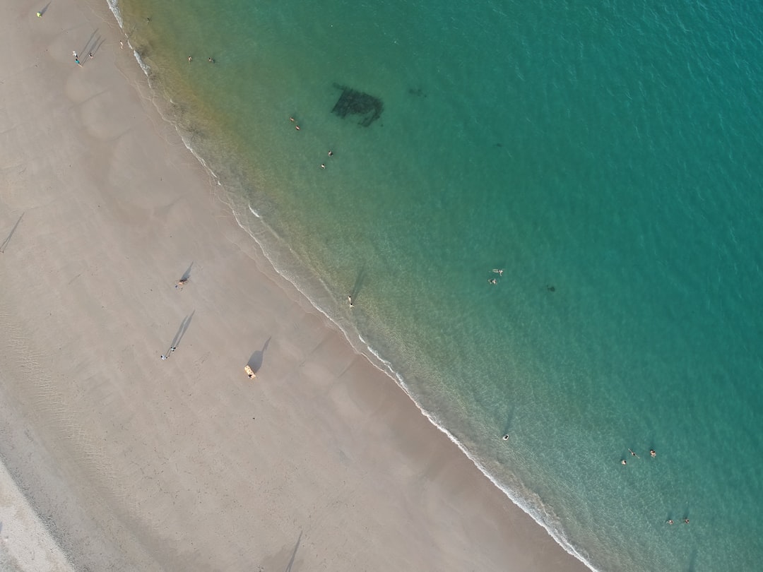 aerial view of people on beach during daytime