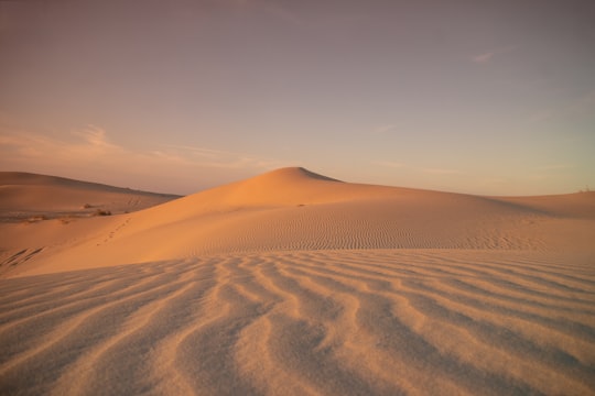 brown sand dunes under blue sky during daytime in El Oued Algeria