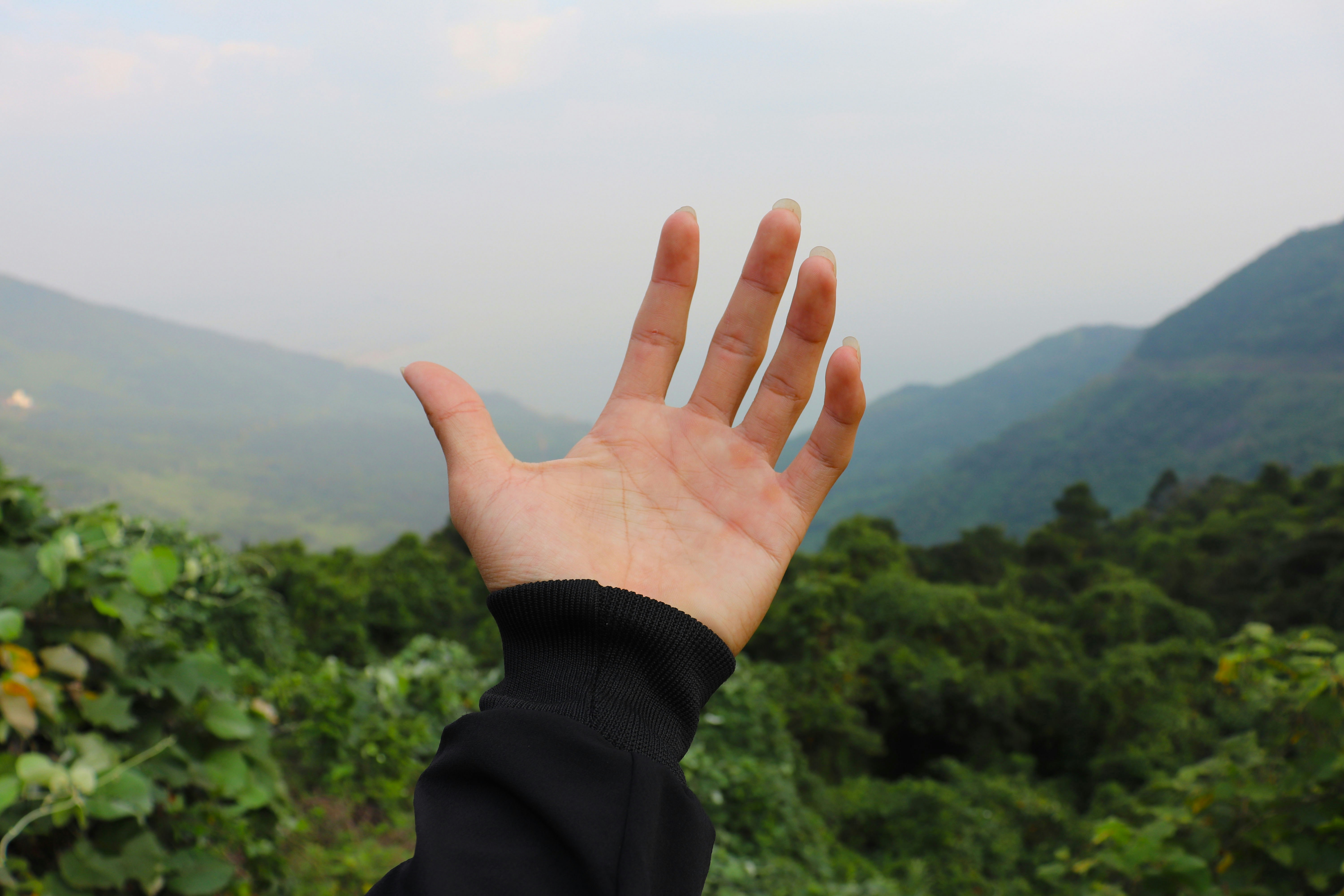 Photo by nguyenlethaison