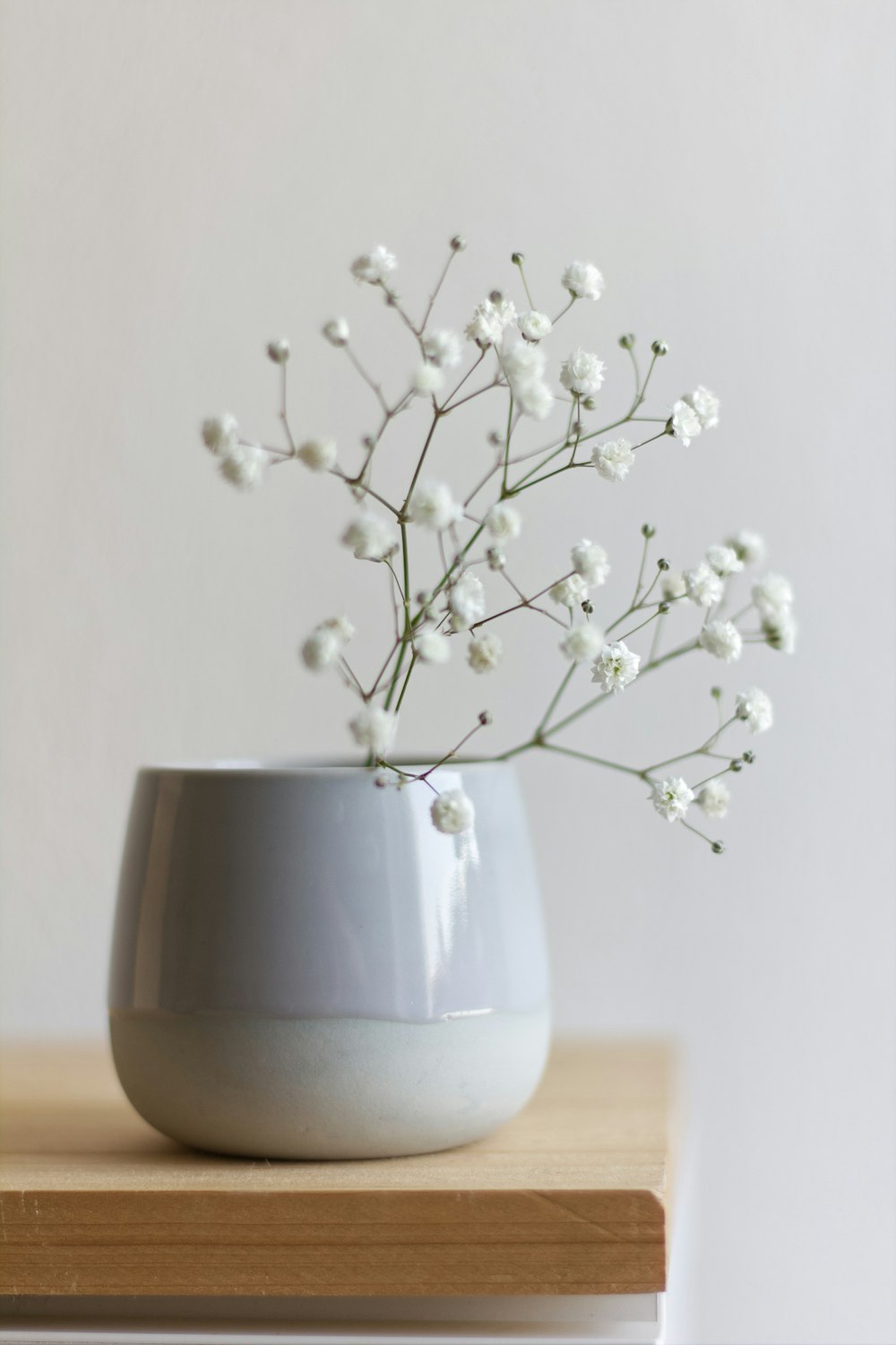 white flower in white ceramic vase