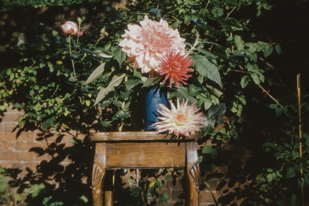 pink flowers in blue ceramic vase on brown wooden table