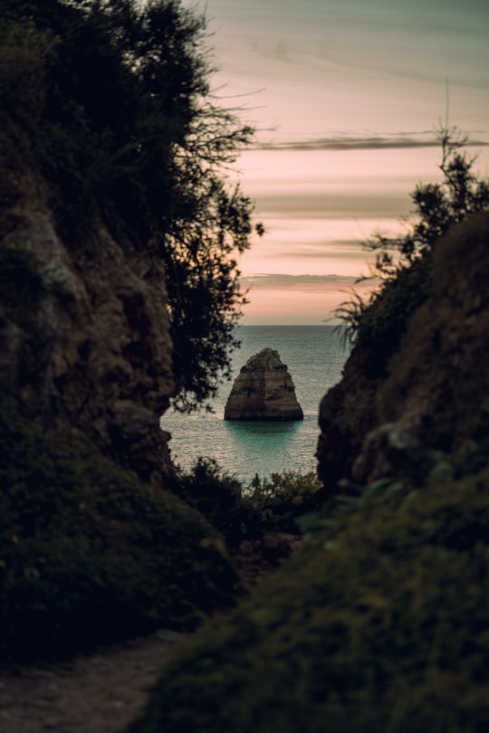 silhouette of trees near body of water during sunset in Lagos Portugal