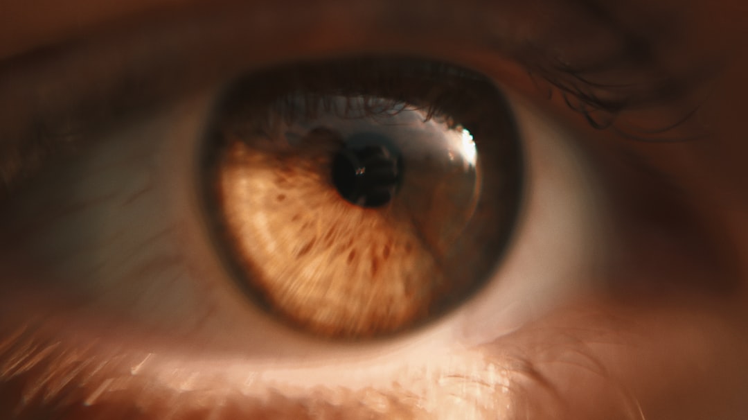 persons eye with black round