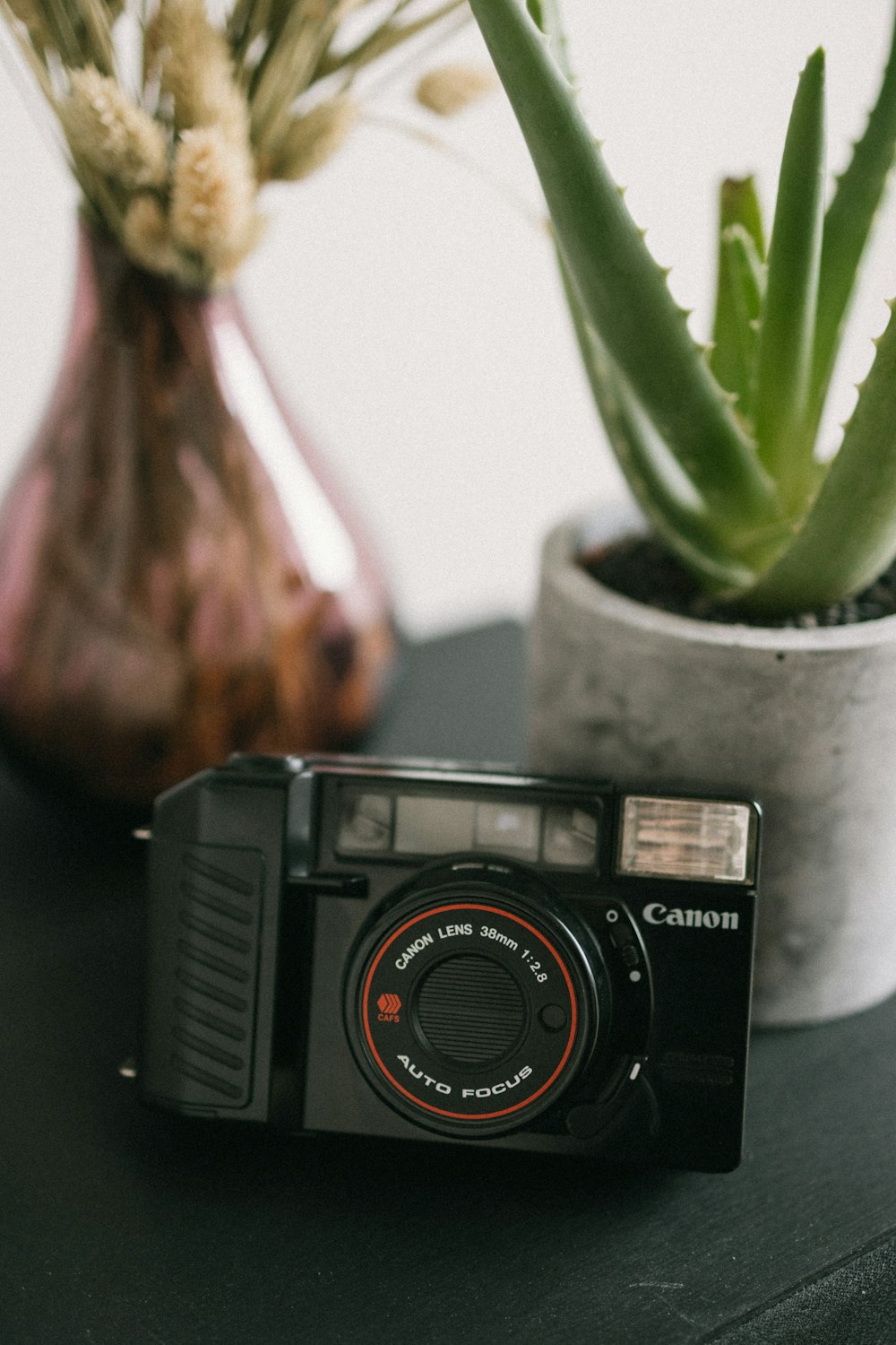 black and silver camera beside green plant