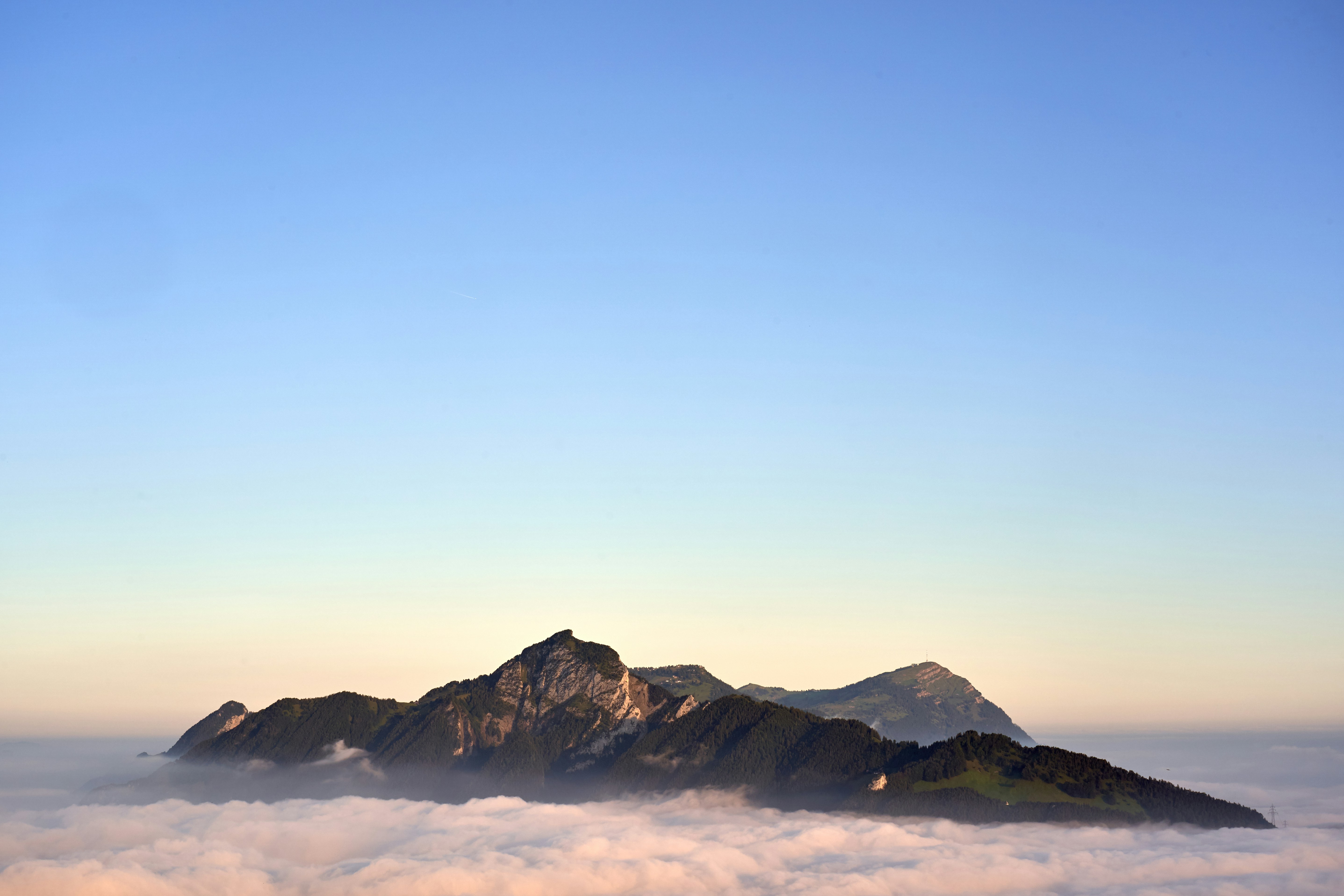 Photo by wolfgang_hasselmann